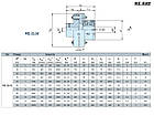 Обгонная муфта RIZ120 ( RINZ ) / GLG120 / BREU120, фото 4