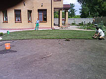 Рулонний газон Універсальний., фото 4