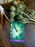 Shamanic Medicine Oracle (Оракул Шаманської Медицини), фото 8