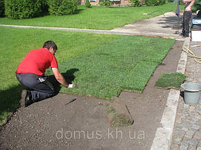 Укладання рулонного газону.