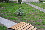 Садовий місток декоративний без билец Лесик, фото 4
