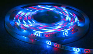 Світлодіодна LED-стрічка RGB