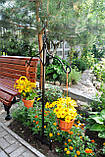 Стійка садова для кашпо декоративна СД-2, фото 6