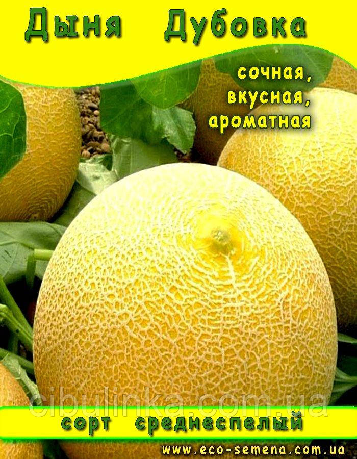 Насіння Диня Дубівка/100 г