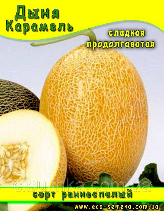 Насіння Диня Карамель/500 г