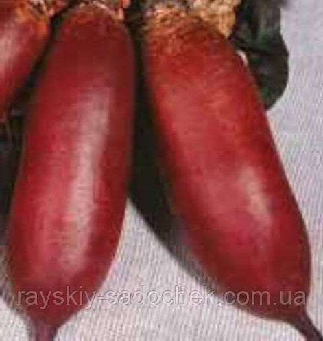 Насіння буряків столове опольське (целіндра) 15 г.зип-пакет.Середя (Польща).