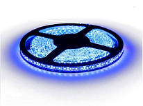Світлодіодна стрічка LED 3528-120 B синя.(економ)