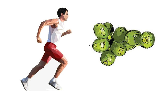 купити справжній зелений кава в зернах низька доступна ціна з доставкою