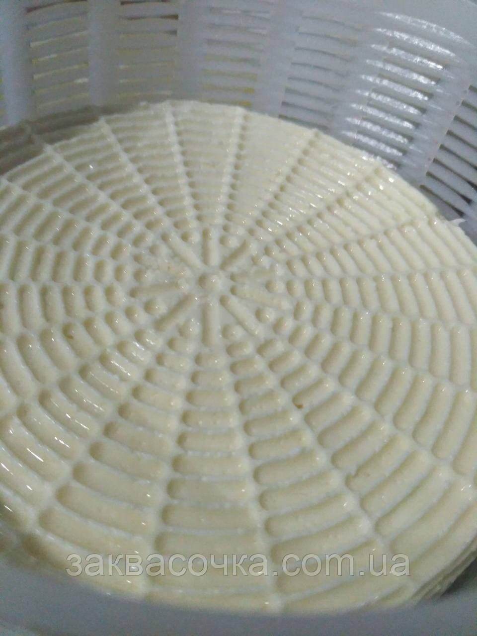 Фермент СУХОЙ, молокосвёртывающий (на 100л молока) - фото 3 - id-p70403373