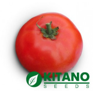Семена Томат полудетерминантный Ядвига F1 поштучно 10 семян Kitano Seeds - фото 1 - id-p858614932