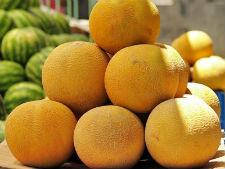 Насіння дині Косхозниця 1 кг