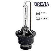 Brevia Xenon HID Lamp D2S 85V 35W PK32d-2 (1шт.)