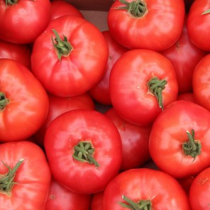 Афен F1 томат рожевий індет 1000нас Clause, фото 1