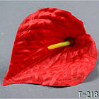 Калла NТ 012 — Т 218 (800 шт./уп.) Штучні квіти гуртом, фото 2