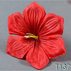 Петунія загорнута NT 137 (800 шт./уп.) Штучні квіти гуртом, фото 4