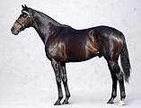 Сальцій Р для Samba, коней, дрібних тварин 25 кг, фото 5