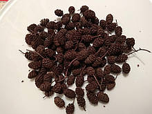 Вільхи / Вільхи (шишки), 100г.