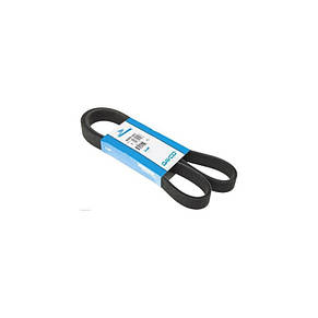 DAYCO 6PK1200 — Ремінь генератора (+AC) на Рено Кліо IV 1.5dci K9K, фото 4
