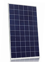 Солнечная батарея Perlight Solar PLM-280P-60, 280W, 5bb