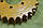  Зірочка для жатки кукурудзяної Oros. Артикул 1.307.497, фото 2