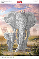 Вышивка бисером СВ 3077 Слоны формат А3