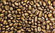 Кава Арабіка Перу Яня 1 кг свіжообсмажене зерно, фото 2