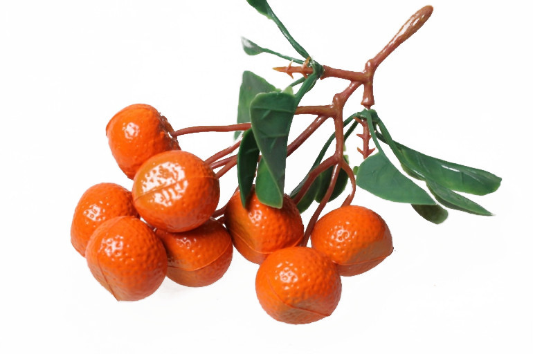 Гілка мандарин 9 шт, фото 1