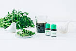 РОЗТОРОПША проростки Sadovе 100% Bio Organic, пророщене насіння розторопші 25 г, фото 9