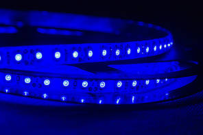 Dilux — Світлодіодна стрічка SMD 3528 120Led/м, вологозахищена IP65, синя.