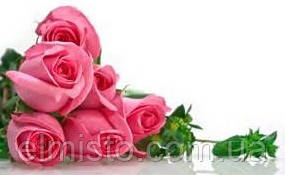 З святом, дорогі жінки від постачальників електролічильників! з святом, дорогі жінки від постачальників електролічильників!