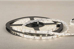 Dilux — Світлодіодна стрічка SMD 3528 60 LED/м, вологозахищена IP65, холодна біла.