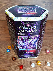Наукова гра "Growing Crystal" GRK-01-01 Danko-Toys Україна