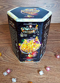 Наукова гра "Growing Crystal" GRK-01-07 Danko-Toys Україна