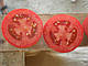 Насіння томату Наміб F1/Namib F1 1000 насіння Syngenta, фото 4