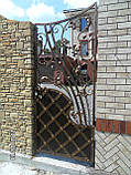 Ковані ворота. Кована Брама. Ворота ковані., фото 4