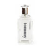 Чоловіча брендова туалетна вода Tommy Hilfiger Tommy 100ml оригінал, цитрусовий фужерний аромат, фото 3