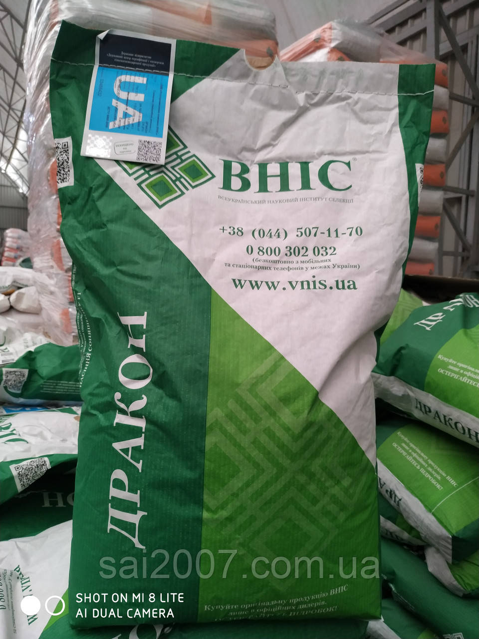 Насіння соняшнику Дракон