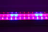 Фіто світильник Led 1200 мм 16W (4 червоних 2 синіх ФІТО світло) для росту рослин, фото 5
