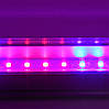 Фіто світильник Led 1200 мм 16W (4 червоних 2 синіх ФІТО світло) для росту рослин, фото 3