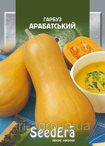 Гарбуз Арабатський 3г (SeedEra), фото 1
