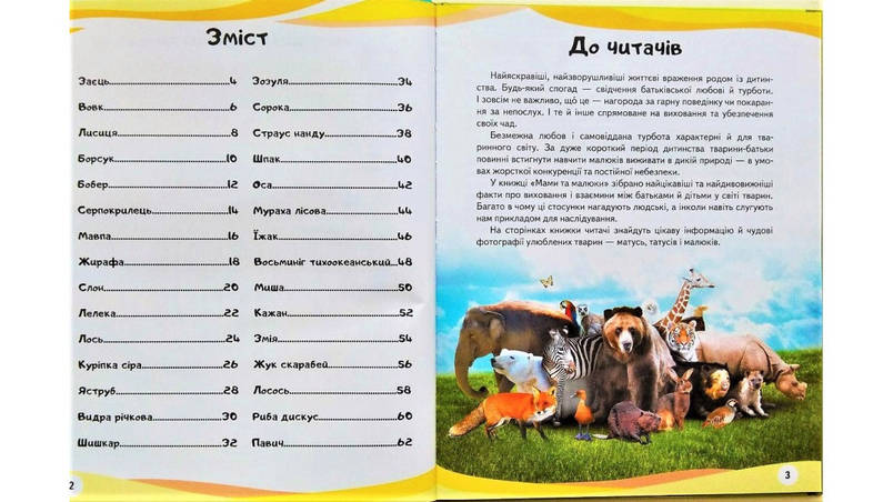 Енциклопедія у запитаннях і відповідях "Мами та малюки" (тигр) Пегас, фото 3