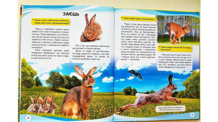 Енциклопедія у запитаннях і відповідях "Мами та малюки" (тигр) Пегас, фото 4