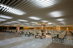 Екранний стеля