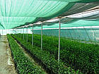 Затіняюча сітка 8*50м 60% затінення, фото 3