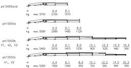 Кран-маніпулятор Palfinger PK 10000 Performance, фото 5