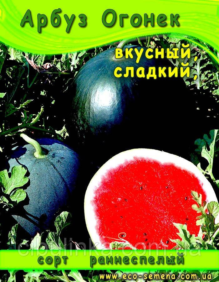 Насіння Кавун Боунек, 500 г, фото 1