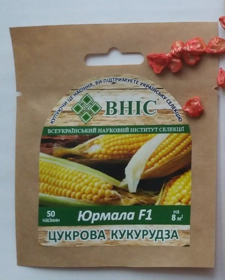 Насіння цукрової кукурудзи Юрмала 50 шт