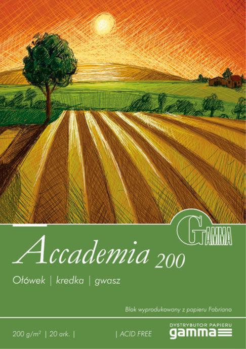 Папір-склейка для малювання Fabriano Accademia (16х22.5), 200г/м2, фото 1