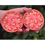 Хані Мун F1 250 шт насіння томата високорослого рожевого Clause Франція, фото 2