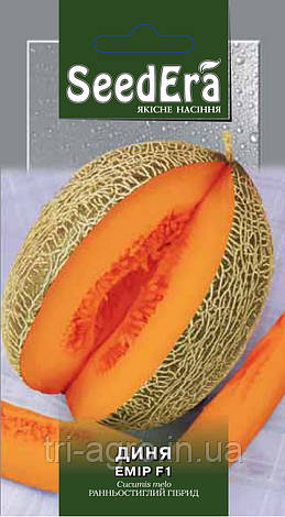 Діня Емір Ф1 5шт (SeedEra) (шт), фото 1